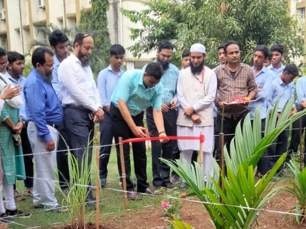 medicinal garden (3)