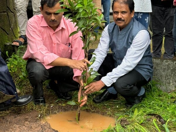 Tree Plantation 2024 - 02